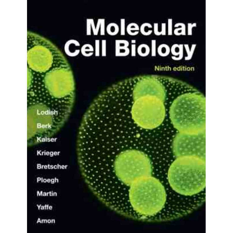 Molecular Cell Biology Ninth edition